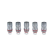 SC SC EC-S SS316L Mesh Heads 0,6 Ohm (5 Stück pro Packung)