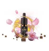 Eighty8 Eighty8 Beauty CBD Tropfen 5%, 10 ml, 500 mg