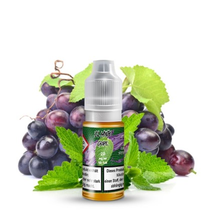 EL MINTO Grape Nikotinsalz Liquid 10 ml