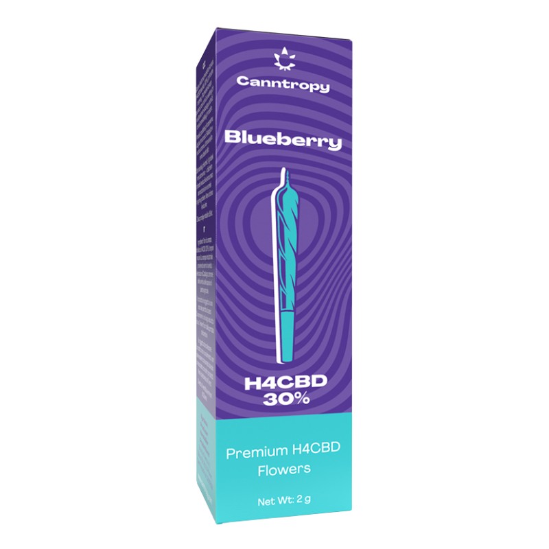 Canntropy H4CBD Prerolls Blueberry, 30% H4CBD, (1,5g)