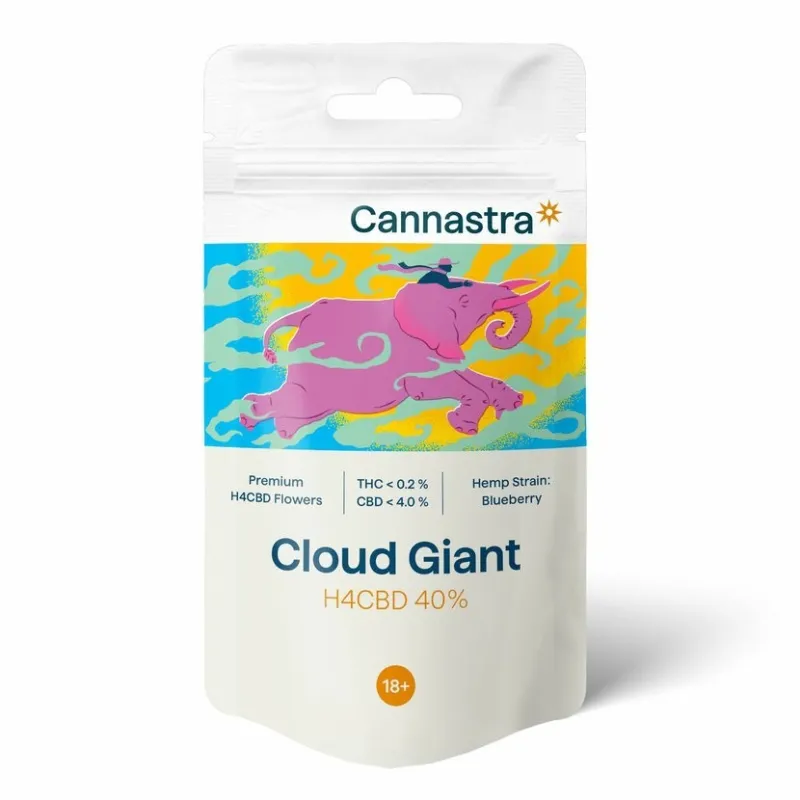 Cannastra H4CBD Blume Cloud Giant (Heidelbeere) 40%, 1g - 100g