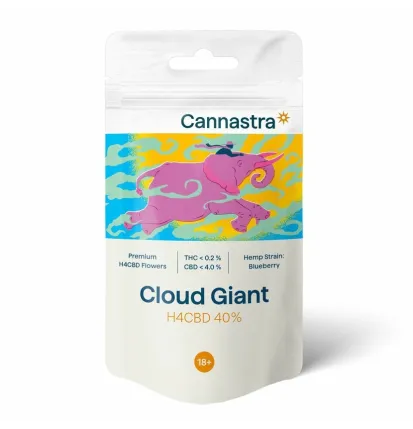 Cannastra Cannastra H4CBD Blume Cloud Giant (Heidelbeere) 40%, 1g - 10