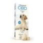 Cibapet CBD Leckerlis für Hunde, 148 mg CBD, 100 g