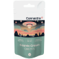 Cannastra CBD Blüten Cosmic Cream, CBD 15 %, 1 g - 100 g