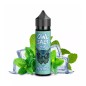 OWL Salt Aroma - Menthol