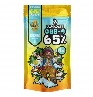 CanaPuff CanaPuff CBG9 Blüten Caribbean Breeze, 65 % CBG9, 1 g – 5 g