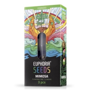 Euphoria Euphoria Samen Mimosa Feminisiert