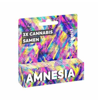 freigeist - Amnesia Feminisiert - Cannabis Samen (3 Stück)