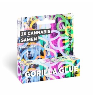 freigeist freigeist - Gorilla Glue Feminisiert - Cannabis Samen (3 Stü