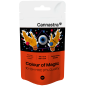 Cannastra 10-OH-HHC Blütenfarbe der Magie 97 % Qualität, 1 g - 100 g