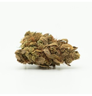 Canatura CBD-Hanfblüte Soul Citron, 15 % CBG, 0,2 % THC (100 g – 10.00