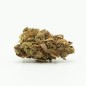 CBD-Hanfblüte Soul Citron, 15 % CBG, 0,2 % THC (100 g – 10.000 g)