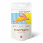 Cannastra H4CBD Blume Solar Pilger (Weiß Witwe) 30%, 1 g - 100 g