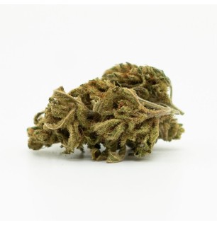 Canatura H4CBD White Widow-Blume – 30 % H4CBD, 100 g – 10.000 g