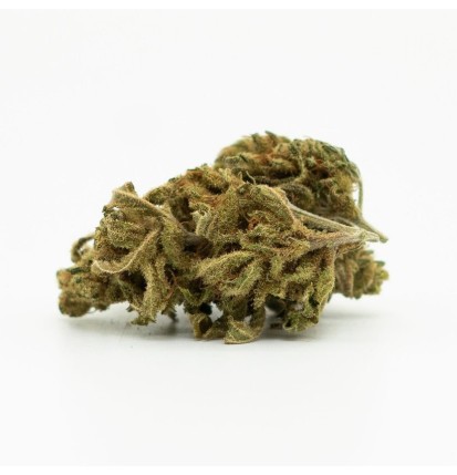 Canatura H4CBD White Widow-Blume – 30 % H4CBD, 100 g – 10.000 g