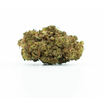 H4CBD Blaubeerblüte 40 % H4CBD, 100 g – 10.000 g