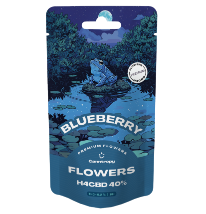 Canntropy Canntropy H4CBD Blaubeerblüte 40 %, 1 g – 5 g