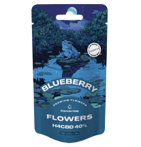 Canntropy Canntropy H4CBD Blaubeerblüte 40 %, 1 g – 5 g