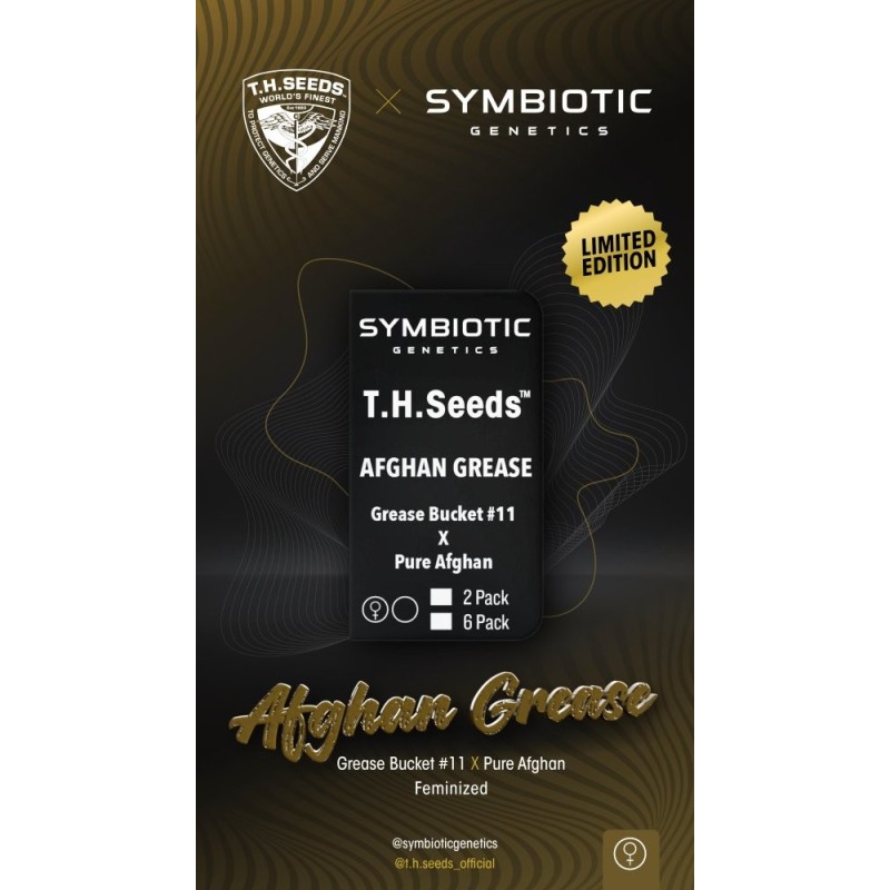 T.H.Seeds™ X Symbiotics Hanfsamen Afgan Grease, feminisiert