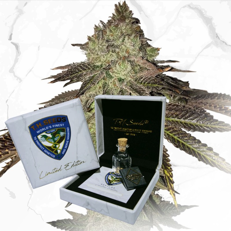 T.H.Seeds™ Hanfsamen Limited Regular Edition Gelato 33 X Birthday Cake X SBC, 11er Pack