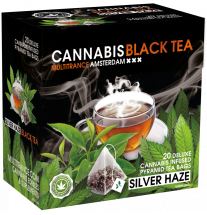 Multitrance Cannabis Silver HaZe Schwarztee (Schachtel mit 20 Pyramide