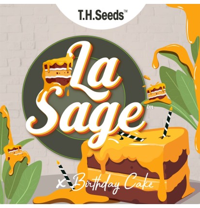 T.H.Seeds T.H.Seeds™ Hanfsamen Limited Regular Edition La SAGE™ Cake, 