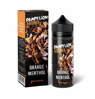 Dampflion Dampflion - Orange Menthol - 10ml Aroma (Longfill)