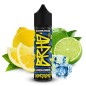 Barehead - BRHD Electric Punch - Lemon Drops - 10ml Aroma (Overdosed Longfill)