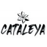 Cataleya