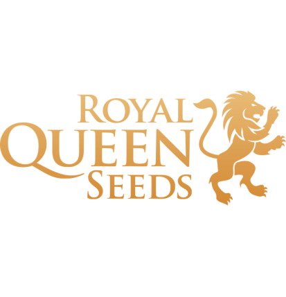 Royal Queen Seeds