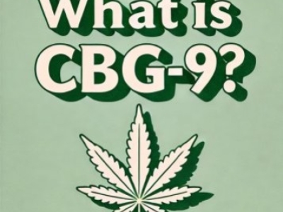 Das Cannabinoid CBG9 erobert den Markt! Wie unterscheidet es sich von HHC und CB