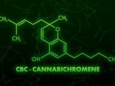 CBC: ein übersehenes Cannabinoid mit großem therapeutischen Potenzial